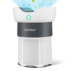 Air Purifier with Sleep Mode or Replacement Air Filters  product